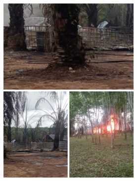 Diduga Penyulingan Minyak Ilegal Refinery Terbakar