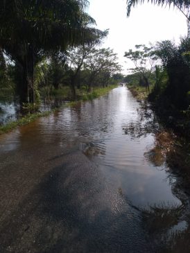 Pemerintah Diminta Respon Masyarakat yang Terdampak Banjir