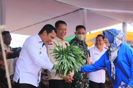 Gerakan Menanam Cabai di Pekanbaru