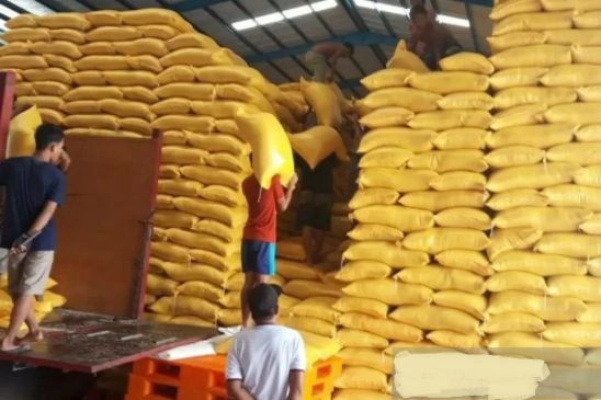 Jika Produksi Kurang, Impor Beras dari Thailand Dua Juta Ton