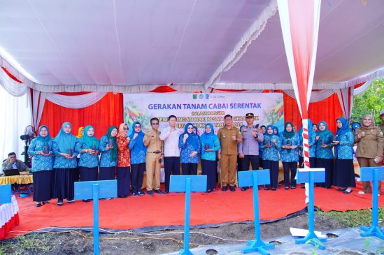 Peringati HKG ke-52, TP-PKK Muba Ikut Gerakan Tanam Cabai Secara Virtual