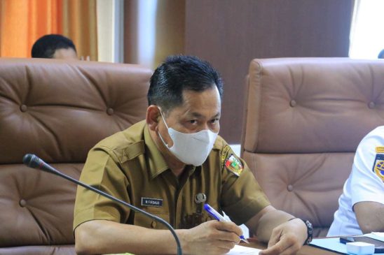 Jelang Idulfitri, Kebutuhan Daging Sapi di Pekanbaru Capai 1.000 Ekor