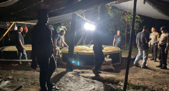 Polisi Gerebek Arena Judi Sabung Ayam di Pekanbaru