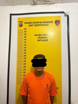Kerap Mencuri Hingga Resahkan Warga, Residivis Ini Kembali Ditangkap Polisi