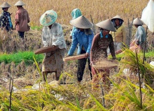Riau Provinsi dengan Kenaikan NTP Tertinggi ke-2 se-Sumatera