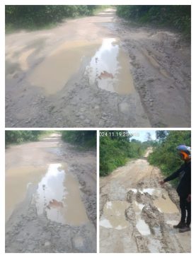 Warga Desa Pinggap Berharap Pemkab Muba Perbaiki Jalan Depati Senen Rusak Parah