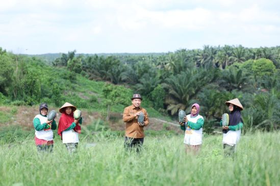 Posisi Harga Sedang Mantap, Petani Semangka Tasik Seminai Raup Untung