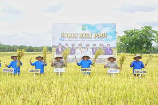 Panen Raya Padi di Desa Laksamana, Bupati Alfedri Serahkan 16 Unit Mesin Pompa Air dan 1 Cultivator