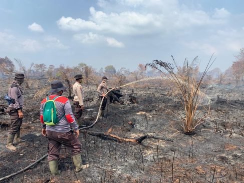 Ratusan Hektar Lahan Terbakar di Inhu