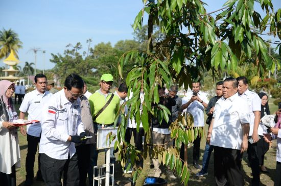 Manfaatkan Lahan Dikediaman Gubri, SF Hariyanto Tanam 70 Bibit Durian Musang King