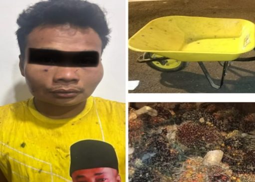 Ditangkap Pemilik Kebun Sawit, Pelaku DY Langsung Diserahkan ke Polsek Keluang