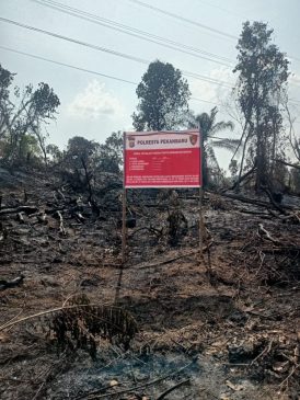Usai Bakar Lahan Milik PT PHR, Polisi Tangkap Petani Sayur