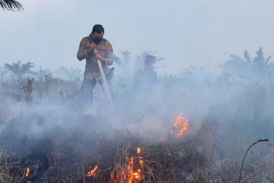 Polisi dan Warga Pelalawan Padamkan Kebakaran Lahan