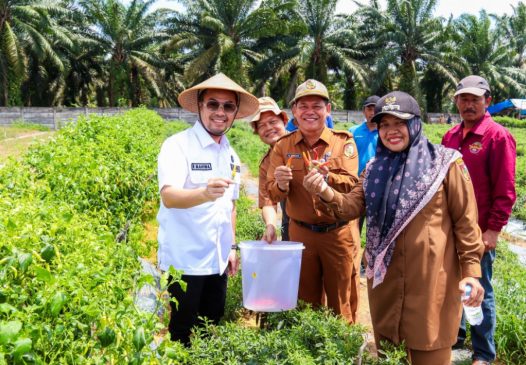 Persiapan Pemko Program Makan Siang Gratis