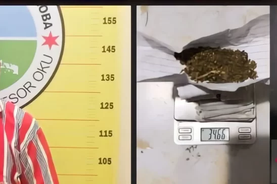 Polisi Sita Sembilan Paket Ganja Siap Edar