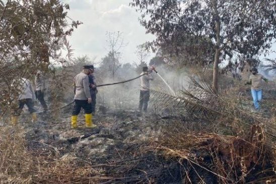 Lahan Kebun Sawit dan Semak Seluas 25 Hektare Terbakar di Kubu Rohil