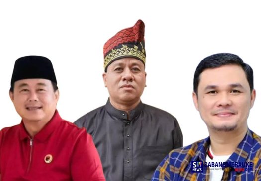 Calon Bupati Kuansing Halim Terkaya, Selisih Jauh Dibanding Suhardiman dan Adam
