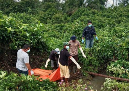 Diduga Korban Pembunuhan, Mayat Wanita Ditemukan di Tepi Jalan Tanah Kuning Inhu