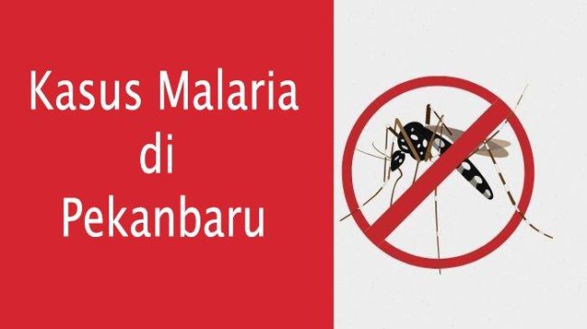 Dewan Ingatkan Pemko Pastikan Kasus Malaria Nihil di Pekanbaru
