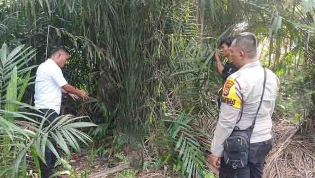6 Remaja Cabuli Siswi SMP Siak Hingga 3 Kali