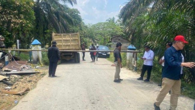 Sengkarut Kebun Sawit untuk Warga Siabu di Kampar Bentukan PT Ciliandra