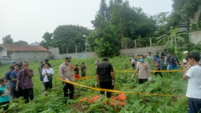 Mayat Wanita Membusuk di Kebun Singkong