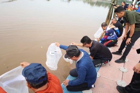 Jaga Kelestarian Sungai, Pemkab Siak Tabur 20 Ribu Benih Patin