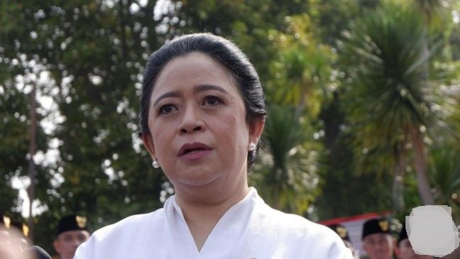 Pramono Temui Prabowo Bawa Pesan Megawati