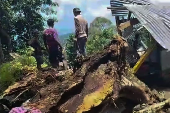 Tertimpa Pohon di Situs Bulu Matanre, Sembilan Pengunjung Tewas