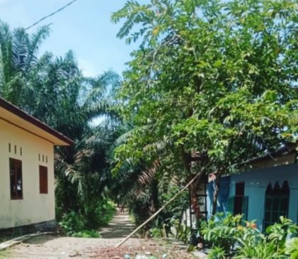Diduga Kades Aek Horsik Terlibat KKN