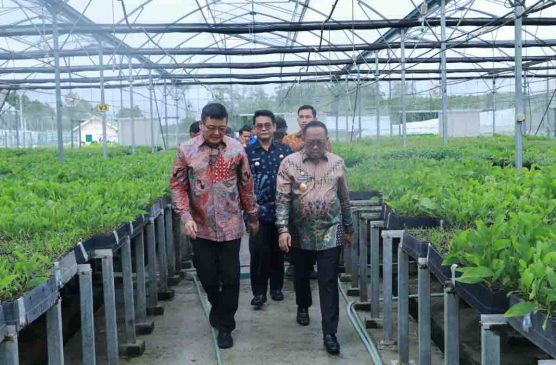 Pj Gubernur Riau dan Pjs Bupati Siak Kunjungi PT IKPP