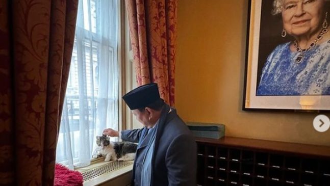 Prabowo Bertemu Larry The Cat, Kepala Pemburu Tikus Kantor PM Inggris