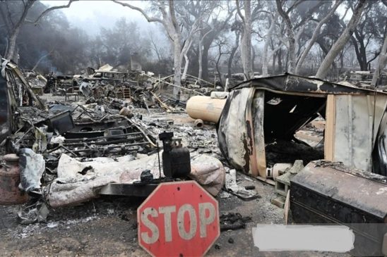 Kebakaran Hutan di California, 14.000 Warga Mengungsi