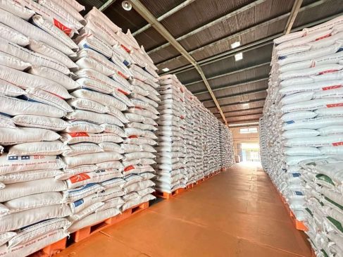 Riau Hasilkan 106,20 Ribu Ton Beras