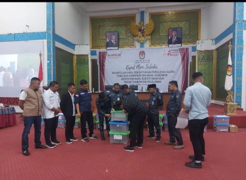 Zukri-Tamrin Unggul di Pilkada Pelalawan dengan 101.076 Suara
