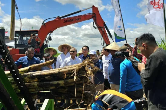 Penghentian Impor Gula Diprediksi Terlaksana pada 2025