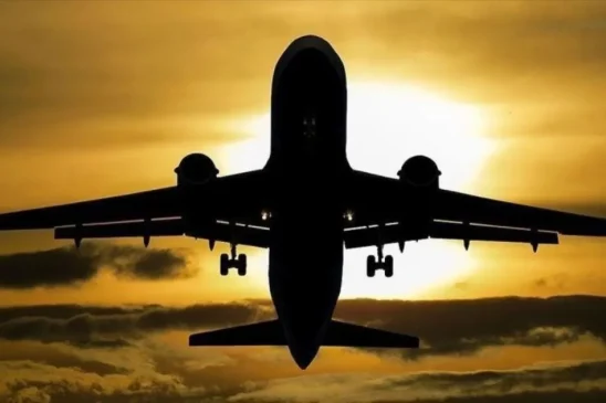 Japan Airlines Terkena Serangan Siber