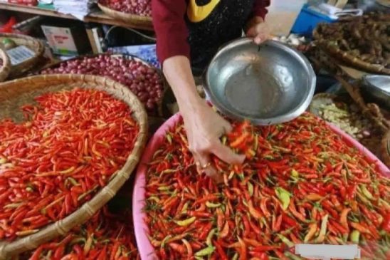 Harga Pangan Awal Desember Turun