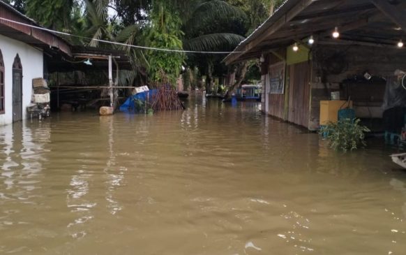 Akibat Luapan Sungai Kampar, 319 Rumah di Desa Buluh Cina Terendam Banjir