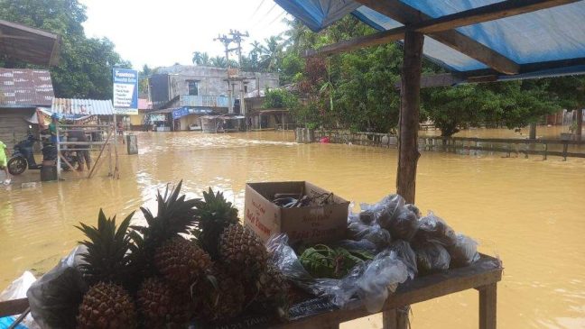 Banjir Melanda Riau, Ratusan Rumah di Pelalawan, Kampar dan Siak Terendam