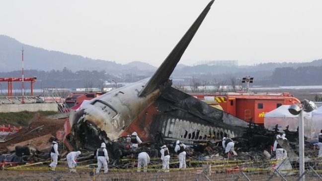 Ada DNA Burung di Mesin Pesawat Jeju Air