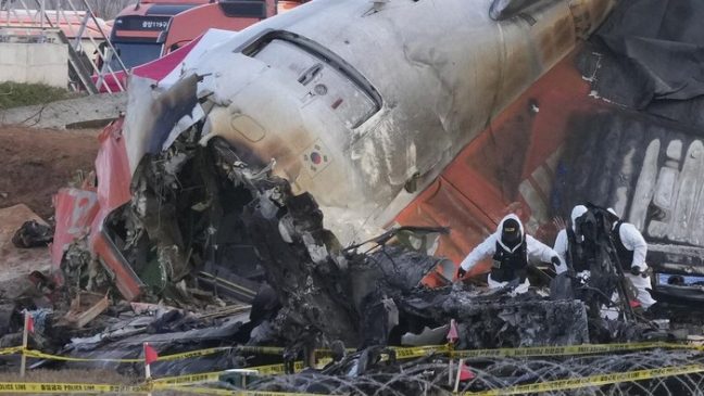 Tragedi Jeju Air, Bulu Burung Ditemukan di Mesin Pesawat