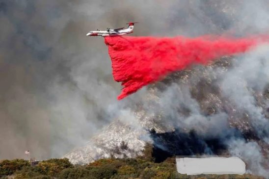 Kebakaran Hutan Los Angeles, Korban Tewas Jadi 13 Orang