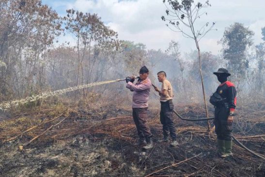 Kebakaran Lahan di Tanjung Peranap Kepulauan Meranti, Tim Pemadam Kesulitan Sumber Air