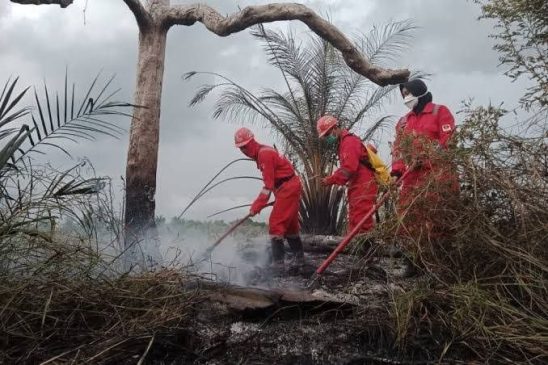 Karhutla Mengancam, DPRD Minta Pemprov Riau Perkuat Pengawasan