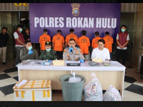Polres Rokan Hulu Ungkap Kasus Pembunuhan Harimau Sumatera