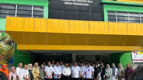 gubri-minta-standarisasi-harga-komo