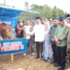 Bupati Monadi Serahkan Bantuan Sapi Kurban dari Presiden Prabowo Subianto di Desa Sungai Gelampeh