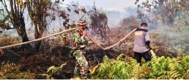 Karhutla di Rokan Hulu, Riau, Berhasil Dikendalikan Setelah Perjuangan Berat