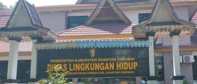 PKS PT SIM Tebar 15 Ribu Bibit Ikan di Sungai Singingi